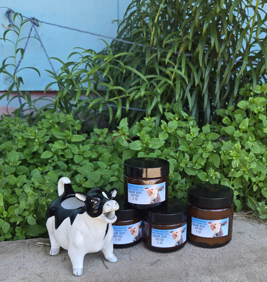 Tallow Body Balm
