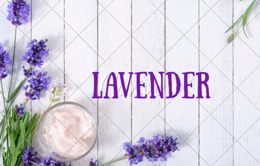 Lavender Foaming Hand Soap